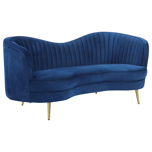 Sophia Upholstered Camel Back Loveseat Blue - Premium Loveseat from Coaster Z2 Standard - Just $800! Shop now at Furniture Wholesale Plus  We are the best furniture store in Nashville, Hendersonville, Goodlettsville, Madison, Antioch, Mount Juliet, Lebanon, Gallatin, Springfield, Murfreesboro, Franklin, Brentwood