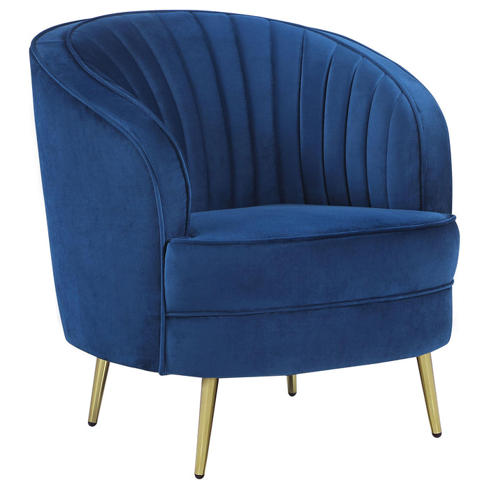 Sophia Upholstered Vertical Channel Tufted Chair Blue - Premium Chair from Coaster Z2 Standard - Just $380! Shop now at Furniture Wholesale Plus  We are the best furniture store in Nashville, Hendersonville, Goodlettsville, Madison, Antioch, Mount Juliet, Lebanon, Gallatin, Springfield, Murfreesboro, Franklin, Brentwood