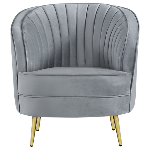 Sophia Upholstered Chair Grey and Gold - Premium Chair from Coaster Z2 Standard - Just $380! Shop now at Furniture Wholesale Plus  We are the best furniture store in Nashville, Hendersonville, Goodlettsville, Madison, Antioch, Mount Juliet, Lebanon, Gallatin, Springfield, Murfreesboro, Franklin, Brentwood