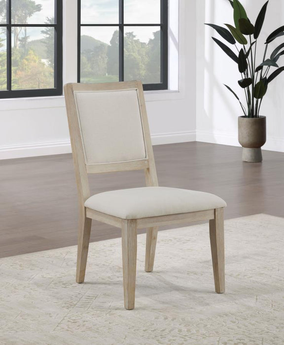 Trofello - Cushioned Dining Side Chair (Set of 2) - White Washed – Chair Sets by Coaster Fine Furniture at Furniture Wholesale Plus , Nashville furniture store