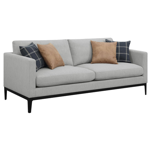 Apperson Cushioned Back Sofa Light Grey - Premium Sofa from Coaster Z2 Standard - Just $898! Shop now at Furniture Wholesale Plus  We are the best furniture store in Nashville, Hendersonville, Goodlettsville, Madison, Antioch, Mount Juliet, Lebanon, Gallatin, Springfield, Murfreesboro, Franklin, Brentwood