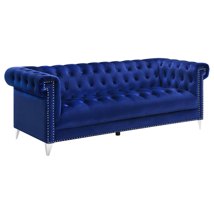 Bleker Tufted Tuxedo Arm Sofa Blue - Premium Sofa from Coaster Z2 Standard - Just $878! Shop now at Furniture Wholesale Plus  We are the best furniture store in Nashville, Hendersonville, Goodlettsville, Madison, Antioch, Mount Juliet, Lebanon, Gallatin, Springfield, Murfreesboro, Franklin, Brentwood