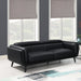 Shania Track Arms Sofa with Tapered Legs Black - Premium Sofa from Coaster Z2 Standard - Just $978! Shop now at Furniture Wholesale Plus  We are the best furniture store in Nashville, Hendersonville, Goodlettsville, Madison, Antioch, Mount Juliet, Lebanon, Gallatin, Springfield, Murfreesboro, Franklin, Brentwood