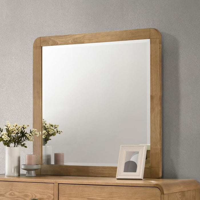 Robyn - Dresser Mirror – Mirrors by CoasterEssence at Furniture Wholesale Plus , Nashville furniture store