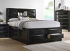 Briana - Wood Storage Bookcase Bed – Storage Beds by CoasterEssence at Furniture Wholesale Plus , Nashville furniture store
