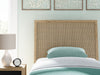 Cielden - Two-Tone - Panel Headboard - Premium Panel Headboards from Signature Design by Ashley® - Just $158! Shop now at Furniture Wholesale Plus  We are the best furniture store in Nashville, Hendersonville, Goodlettsville, Madison, Antioch, Mount Juliet, Lebanon, Gallatin, Springfield, Murfreesboro, Franklin, Brentwood