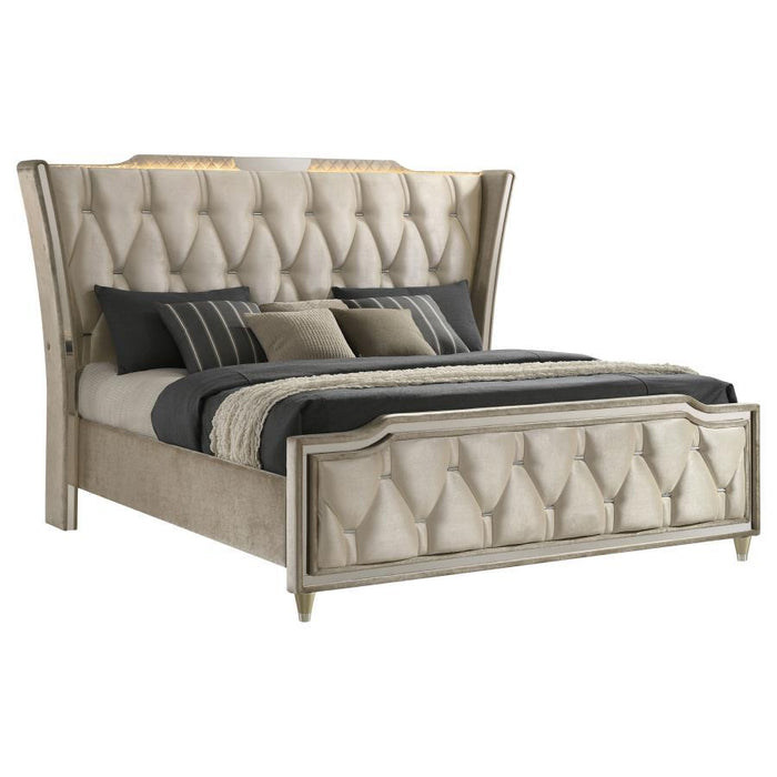 Lorient - LED Upholstered Bed – Upholstered Beds by Coaster Fine Furniture at Furniture Wholesale Plus , Nashville furniture store