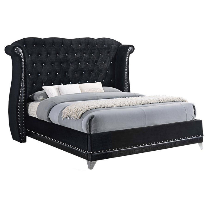Barzini - Upholstered Wingback Bed – Upholstered Beds by CoasterElevations at Furniture Wholesale Plus , Nashville furniture store