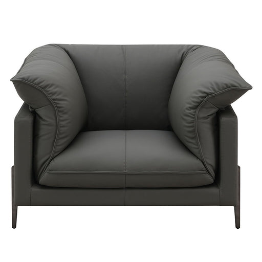 Tadi - Chair - Black Top Grain Leather - Premium Arm Chairs from ACME - Just $2049! Shop now at Furniture Wholesale Plus  We are the best furniture store in Nashville, Hendersonville, Goodlettsville, Madison, Antioch, Mount Juliet, Lebanon, Gallatin, Springfield, Murfreesboro, Franklin, Brentwood
