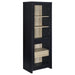 Denison - 67" 2-Door Media Tower Storage Cabinet - Black – Piers by Coaster Fine Furniture at Furniture Wholesale Plus , Nashville furniture store