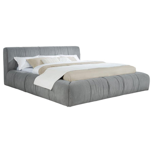 Wilshire - Upholstered Platform Bed – Upholstered Beds by Coaster Fine Furniture at Furniture Wholesale Plus , Nashville furniture store