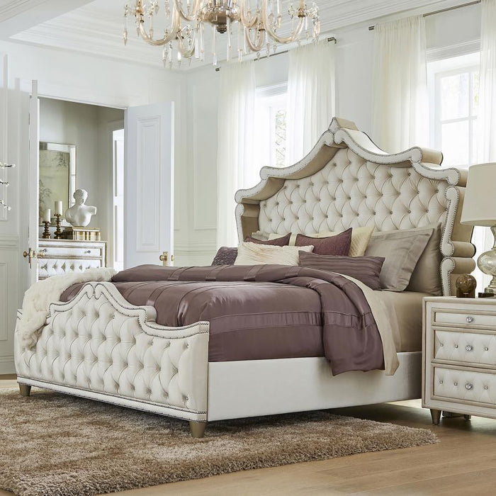 Antonella - Upholstered Panel Bed - Premium Upholstered Beds from CoasterElevations - Just $1149! Shop now at Furniture Wholesale Plus  We are the best furniture store in Nashville, Hendersonville, Goodlettsville, Madison, Antioch, Mount Juliet, Lebanon, Gallatin, Springfield, Murfreesboro, Franklin, Brentwood