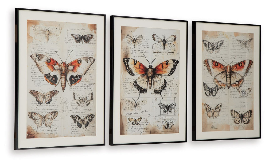 Jossletts - Wall Art Set (Set of 3) - Orange / Black / Ivory – Framed Print Sets by Signature Design by Ashley® at Furniture Wholesale Plus , Nashville furniture store