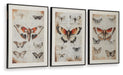 Jossletts - Wall Art Set (Set of 3) - Orange / Black / Ivory – Framed Print Sets by Signature Design by Ashley® at Furniture Wholesale Plus , Nashville furniture store