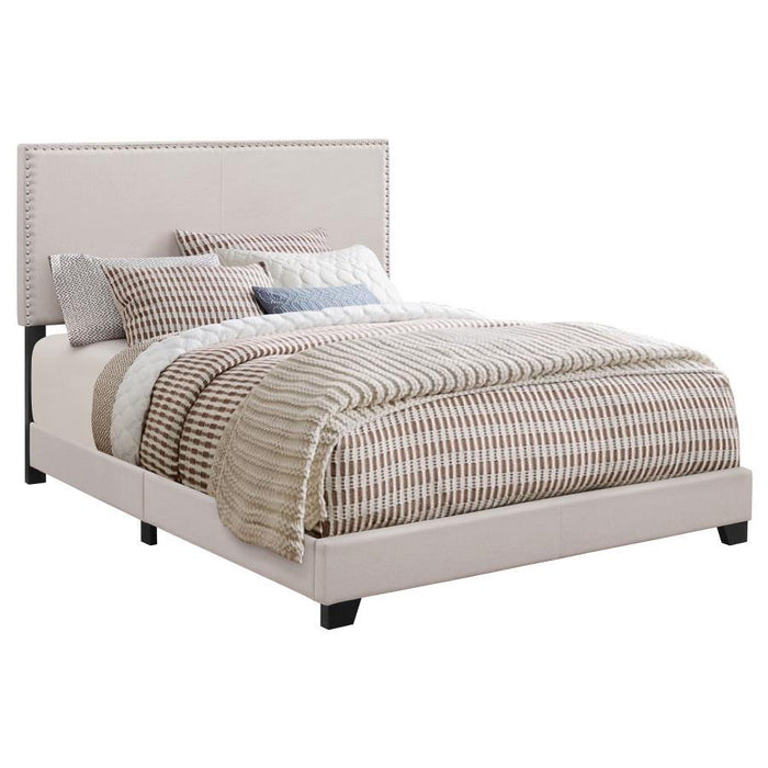 Boyd - Upholstered Panel Bed – Upholstered Beds by CoasterEveryday at Furniture Wholesale Plus , Nashville furniture store