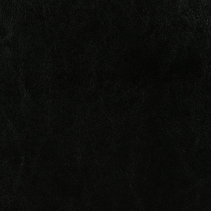 Dorian - Upholstered Panel Bed – Upholstered Beds by CoasterEveryday at Furniture Wholesale Plus , Nashville furniture store