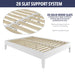 Nix - Platform Bed – Platform Beds by Steve Silver Furniture at Furniture Wholesale Plus , Nashville furniture store
