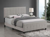Fairfield - Upholstered Panel Bed – Upholstered Beds by CoasterEssence at Furniture Wholesale Plus , Nashville furniture store