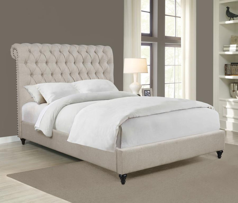 Devon - Upholstered Panel Bed – Upholstered Beds by CoasterEssence at Furniture Wholesale Plus , Nashville furniture store