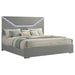 Ives - Panel Bed LED Headboard – Panel Beds by Coaster Fine Furniture at Furniture Wholesale Plus , Nashville furniture store