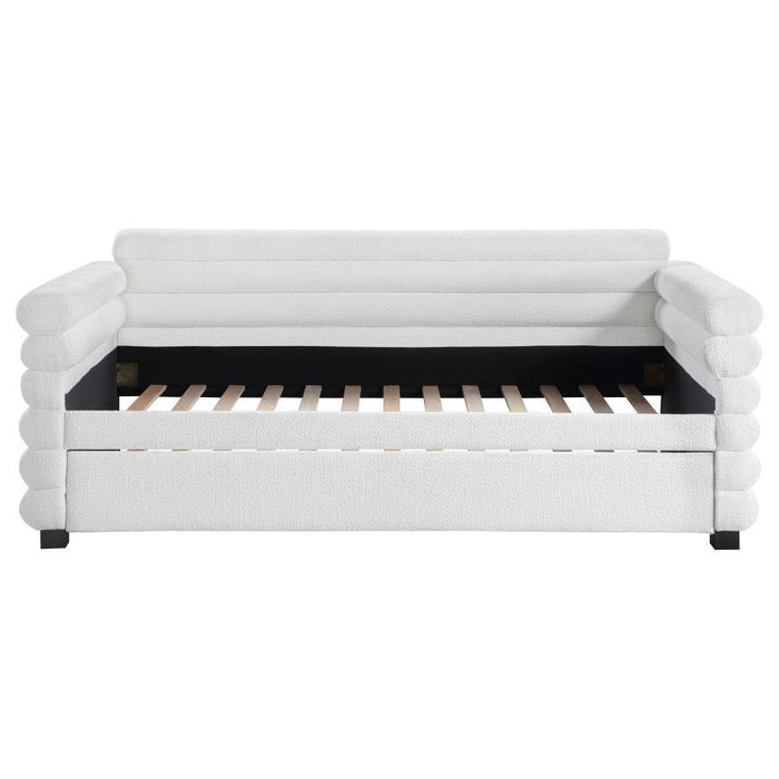 Patricia - Boucle Upholstered Day Bed With Trundle – Daybeds by CoasterEveryday at Furniture Wholesale Plus , Nashville furniture store