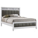 Barzini - Upholstered Panel Bed – Panel Beds by CoasterEveryday at Furniture Wholesale Plus , Nashville furniture store