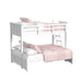 Hampton Kids - Bunk With Ladder – Bunk Beds by Elements International at Furniture Wholesale Plus , Nashville furniture store