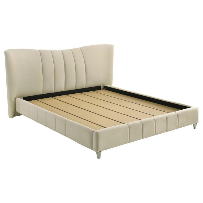Evelyn - Upholstered Panel Platform Bed – Upholstered Beds by Coaster Fine Furniture at Furniture Wholesale Plus , Nashville furniture store