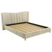 Evelyn - Upholstered Panel Platform Bed – Upholstered Beds by Coaster Fine Furniture at Furniture Wholesale Plus , Nashville furniture store