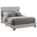 Dorian - Upholstered Panel Bed – Upholstered Beds by CoasterEveryday at Furniture Wholesale Plus , Nashville furniture store