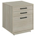 Loomis - 3-Drawer Home Office File Cabinet - Whitewashed Gray – Filing Cabinets by CoasterEssence at Furniture Wholesale Plus , Nashville furniture store
