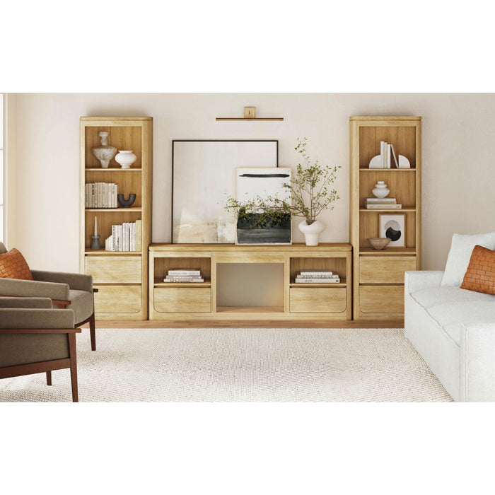 Rosalie - TV Console – TV Stands by Elements International at Furniture Wholesale Plus , Nashville furniture store
