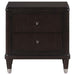 Emberlyn - 2-Drawer Nightstand - Brown – Accent Nightstands by Coaster Fine Furniture at Furniture Wholesale Plus , Nashville furniture store