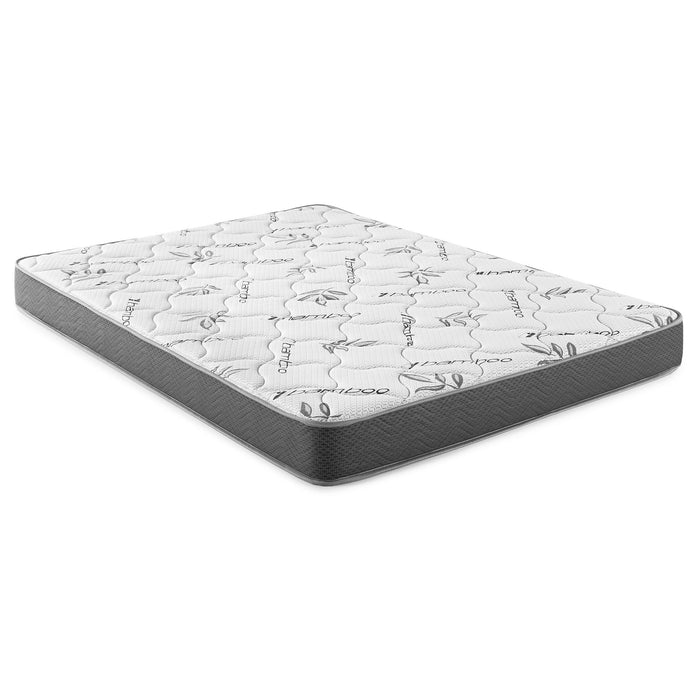 Kenyon - Bamboo Cover Firm Foam Mattress - Premium Hybrid Mattresses from Coaster Fine Furniture - Just $269! Shop now at Furniture Wholesale Plus  We are the best furniture store in Nashville, Hendersonville, Goodlettsville, Madison, Antioch, Mount Juliet, Lebanon, Gallatin, Springfield, Murfreesboro, Franklin, Brentwood