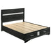 Miranda - Storage Wood Panel Bed - Premium Storage Beds from CoasterEveryday - Just $509! Shop now at Furniture Wholesale Plus  We are the best furniture store in Nashville, Hendersonville, Goodlettsville, Madison, Antioch, Mount Juliet, Lebanon, Gallatin, Springfield, Murfreesboro, Franklin, Brentwood