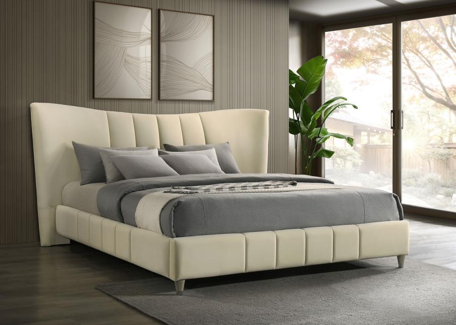Evelyn - Upholstered Panel Platform Bed – Upholstered Beds by Coaster Fine Furniture at Furniture Wholesale Plus , Nashville furniture store