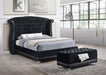 Barzini - Upholstered Wingback Bed – Upholstered Beds by CoasterElevations at Furniture Wholesale Plus , Nashville furniture store