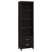 Lewes 2-drawer Media Tower Cappuccino - Premium Pier from Coaster Z2 Standard - Just $214! Shop now at Furniture Wholesale Plus  We are the best furniture store in Nashville, Hendersonville, Goodlettsville, Madison, Antioch, Mount Juliet, Lebanon, Gallatin, Springfield, Murfreesboro, Franklin, Brentwood