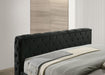 Josephine - Queen Bed With TV Lift - Black – Upholstered Beds by Crown Mark at Furniture Wholesale Plus , Nashville furniture store