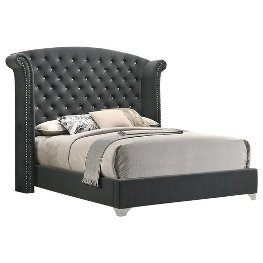 Melody - Upholstered Wingback Bed - Premium Upholstered Beds from CoasterEveryday - Just $519! Shop now at Furniture Wholesale Plus  We are the best furniture store in Nashville, Hendersonville, Goodlettsville, Madison, Antioch, Mount Juliet, Lebanon, Gallatin, Springfield, Murfreesboro, Franklin, Brentwood