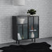 Dalia - 2 Door Accent Storage Cabinet With Shelving - Black – Accent Cabinets by Coaster Fine Furniture at Furniture Wholesale Plus , Nashville furniture store