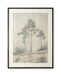 Fenngrove - Wall Art - Brown / Beige – Framed Prints by Signature Design by Ashley® at Furniture Wholesale Plus , Nashville furniture store