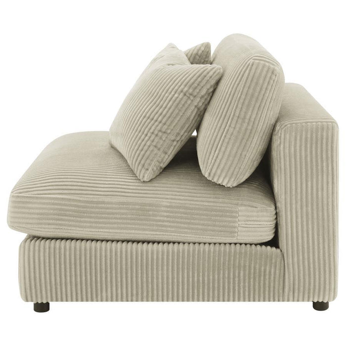 Blaine - Upholstered Armless Chair - Premium Armless Chairs from Coaster Fine Furniture - Just $509! Shop now at Furniture Wholesale Plus  We are the best furniture store in Nashville, Hendersonville, Goodlettsville, Madison, Antioch, Mount Juliet, Lebanon, Gallatin, Springfield, Murfreesboro, Franklin, Brentwood