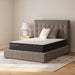 Limited Edition Firm - Mattress – Innerspring Mattresses by Sierra Sleep® by Ashley at Furniture Wholesale Plus , Nashville furniture store