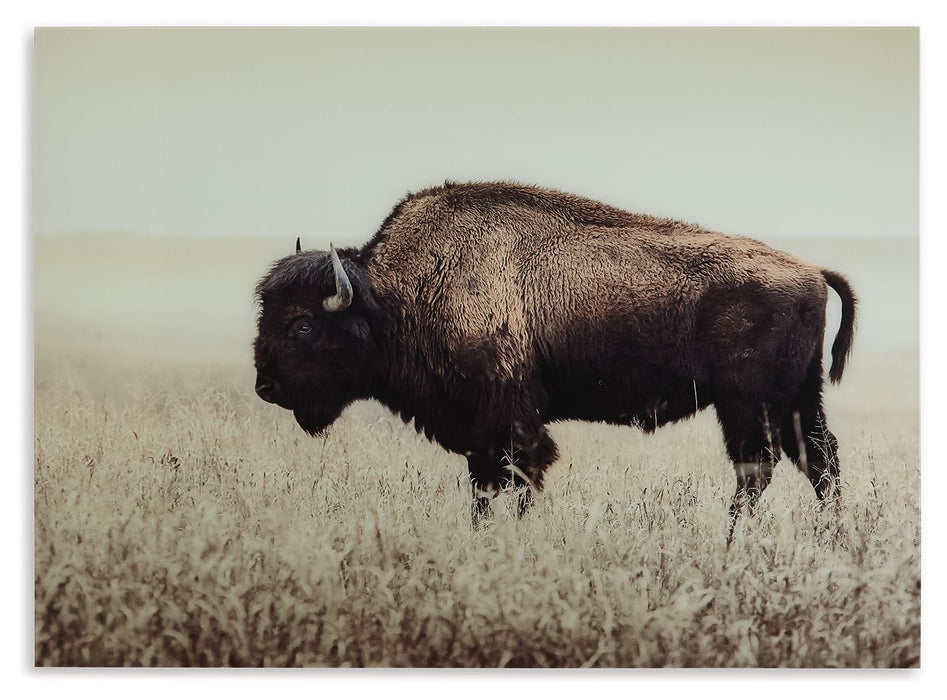 Brutus - Wall Art - Sepia – Wall Decor by Signature Design by Ashley® at Furniture Wholesale Plus , Nashville furniture store