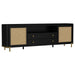 Arini - Rattan Cane 2-Door TV Stand Media Console - Premium TV Stands from Coaster Fine Furniture - Just $1079! Shop now at Furniture Wholesale Plus  We are the best furniture store in Nashville, Hendersonville, Goodlettsville, Madison, Antioch, Mount Juliet, Lebanon, Gallatin, Springfield, Murfreesboro, Franklin, Brentwood