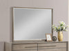 Durango - Dresser Mirror – Mirrors by CoasterElevations at Furniture Wholesale Plus , Nashville furniture store