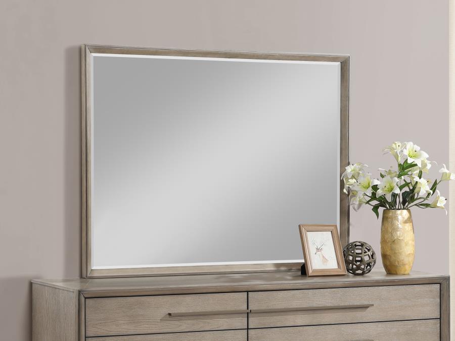 Durango - Dresser Mirror – Mirrors by CoasterElevations at Furniture Wholesale Plus , Nashville furniture store