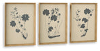 Huddwick - Wall Art Set (Set of 3) - Linen / Black – Canvas Art Sets by Signature Design by Ashley® at Furniture Wholesale Plus , Nashville furniture store