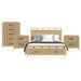 Ridgemont - Storage Bedroom Set – 3 Piece Bedroom Sets by Elements International at Furniture Wholesale Plus , Nashville furniture store